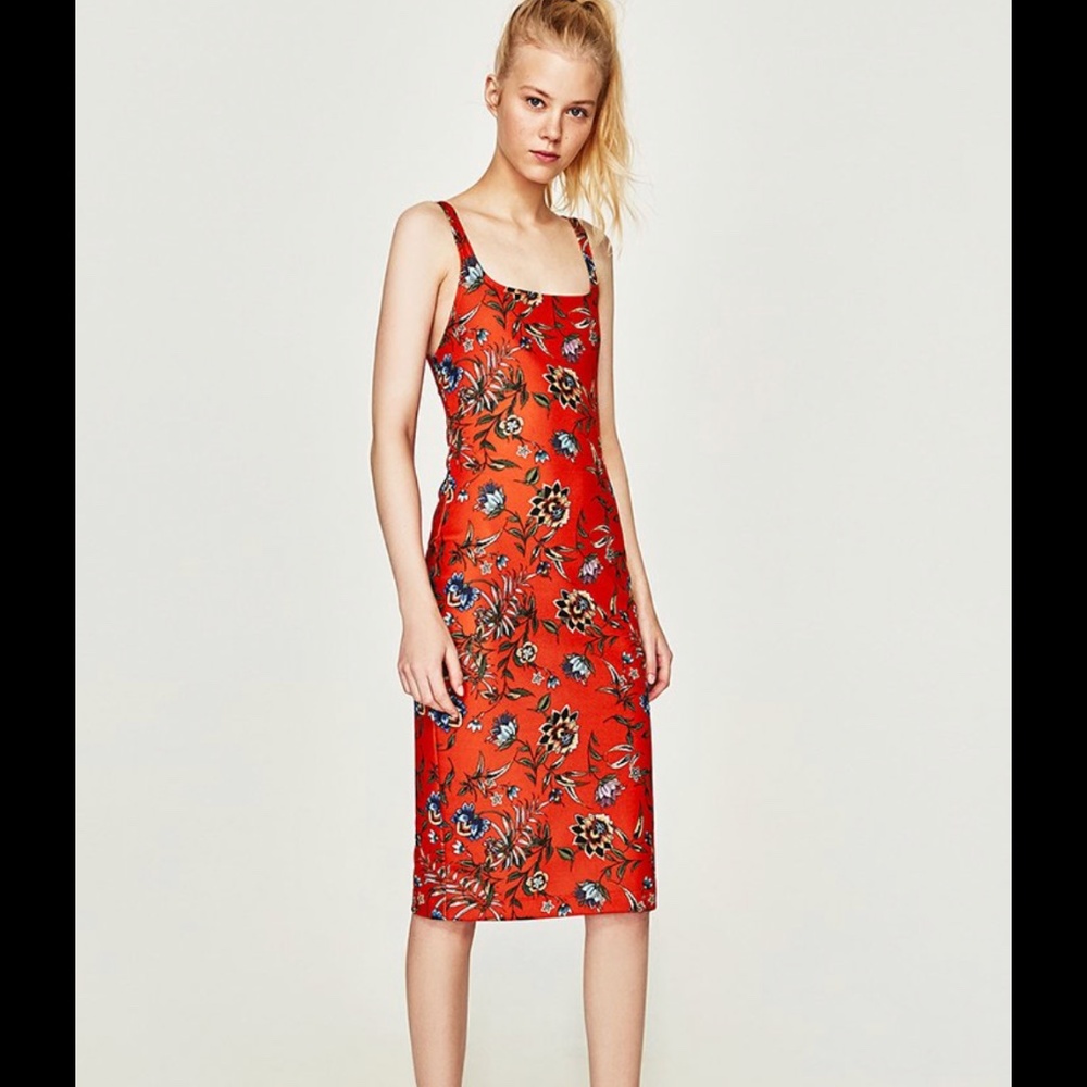 Zara Printed Dress